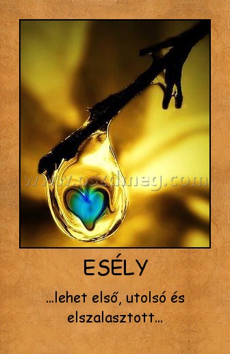 ESÉLY ESÉLY
...lehet első, utolsó és elszalasztott...