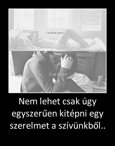 Nem lehet csak úgy egyszerűen kitépni egy szerelmet a szívünkből..
 
