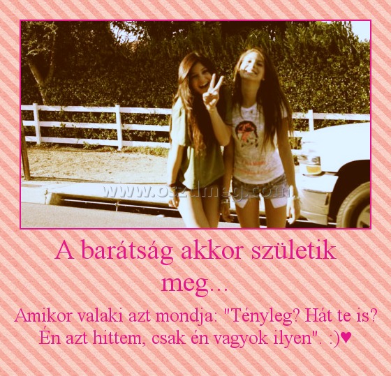 A barátság akkor születik meg...
 
Amikor valaki azt mondja: "Tényleg? Hát te is? Én azt hittem, csak én vagyok ilyen". :)♥