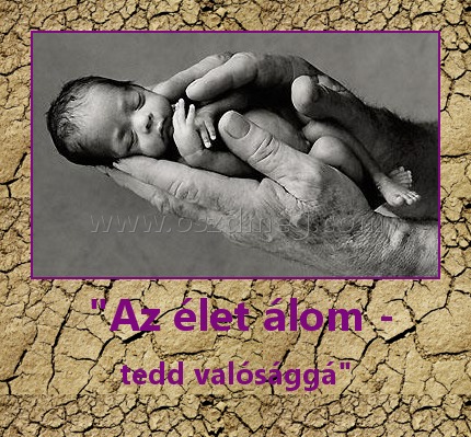 "Az élet álom - "Az élet álom -
tedd valósággá"