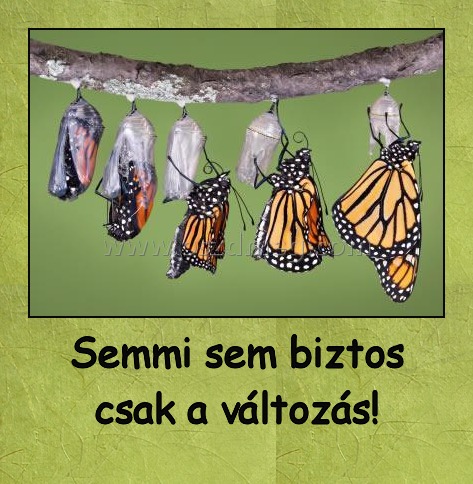 Semmi sem biztos csak a változás! Semmi sem biztos csak a változás!