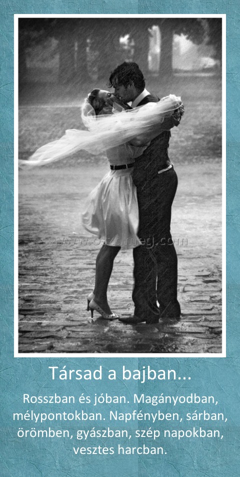 Társad a bajban...
 
Rosszban és jóban. Magányodban, mélypontokban. Napfényben, sárban, örömben, gyászban, szép napokban, vesztes harcban.