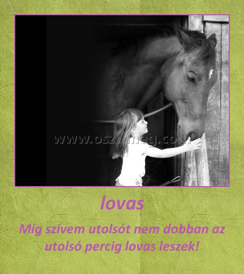 lovas
 
Míg szívem utolsót nem dobban az utolsó percig lovas leszek!