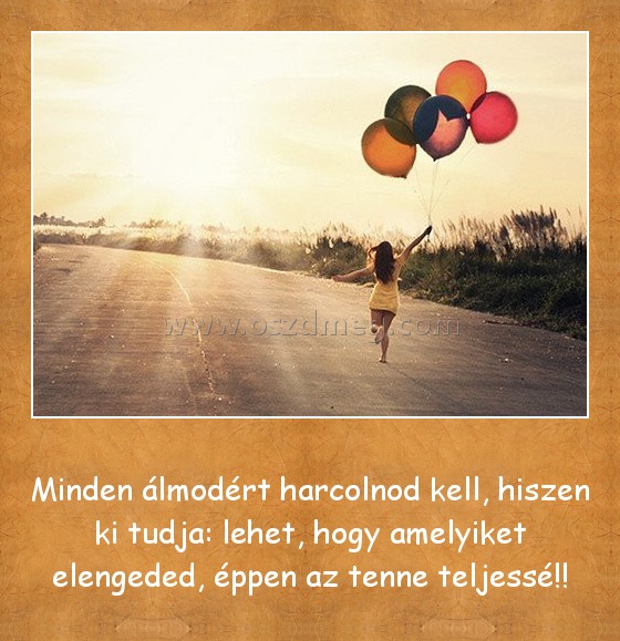 Minden álmodért harcolnod kell
 
