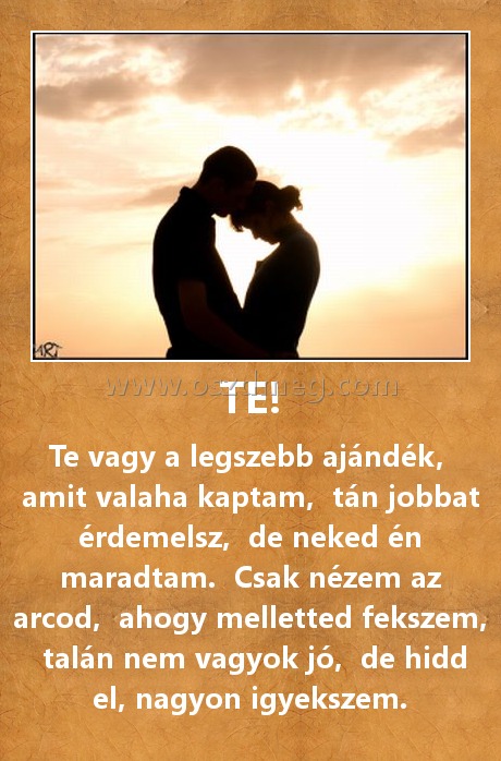 TE!
 
Te vagy a legszebb ajándék,  amit valaha kaptam,  tán jobbat érdemelsz,  de neked én maradtam.  Csak nézem az arcod,  ahogy melletted fekszem,  talán nem vagyok jó,  de hidd el, nagyon igyekszem.