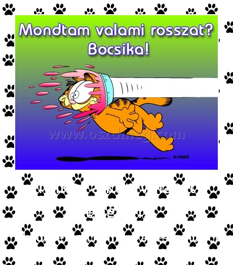 Mikor a kép választ engem; Mikor a kép választ engem;
akkor semmi nem jut az eszembe :)