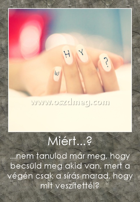 Miért...?
 
...nem tanulod már meg, hogy becsüld meg akid van, mert a végén csak a sírás marad, hogy mit veszítettél?