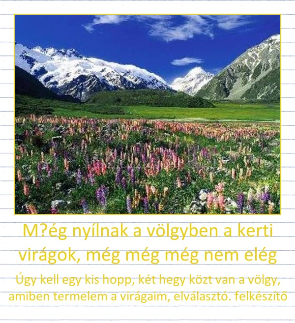 M?ég nyílnak a völgyben a kerti virágok, még még még nem elég
 
Úgy kell egy kis hopp, két hegy közt van a völgy, amiben termelem a virágaim, elválasztó. felkészítő