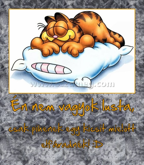 Én nem vagyok lusta,
 
csak pihenek egy kicsit mielött elfáradnék! :D