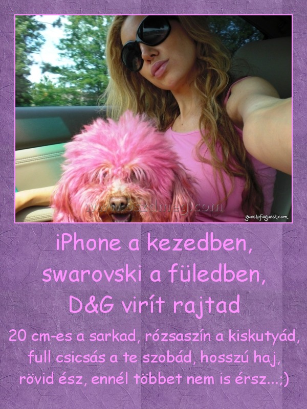 iPhone a kezedben, swarovski a füledben, D&G virít rajtad
 
20 cm-es a sarkad, rózsaszín a kiskutyád, full csicsás a te szobád, hosszú haj, rövid ész, ennél többet nem is érsz...;)