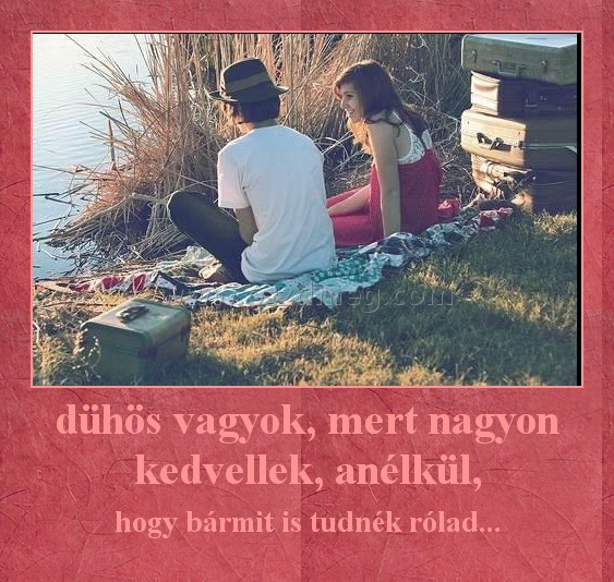 dühös vagyok, mert nagyon kedvellek, anélkül,
 
hogy bármit is tudnék rólad...