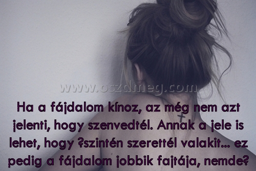 Ha a fájdalom kínoz
 
Ha a fájdalom kínoz, az még nem azt jelenti, hogy szenvedtél. Annak a jele is lehet, hogy őszintén szerettél valakit... ez pedig a fájdalom jobbik fajtája, nemde?