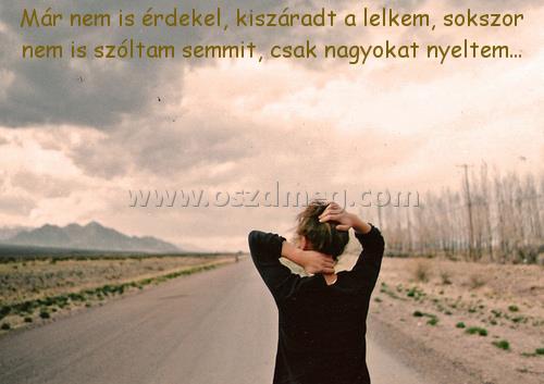 Már nem is érdekel
 
Már nem is érdekel, kiszáradt a lelkem, sokszor nem is szóltam semmit, csak nagyokat nyeltem...