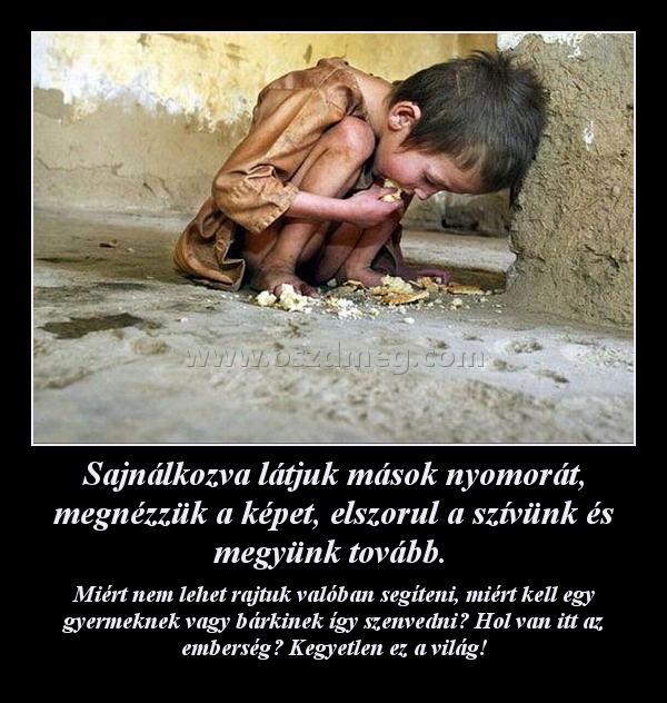 Sajnálkozva látjuk mások nyomorát, megnézzük a képet, elszorul a szívünk és megyünk tovább. 
 
Miért nem lehet rajtuk valóban segíteni, miért kell egy gyermeknek vagy bárkinek így szenvedni? Hol van itt az emberség? Kegyetlen ez a világ!
