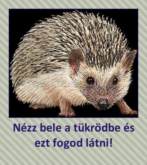 Nézz bele a tükrödbe és ezt fogod látni!
 
