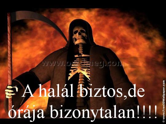 A halál biztos
 
A halál biztos,de órája bizonytalan!!!!