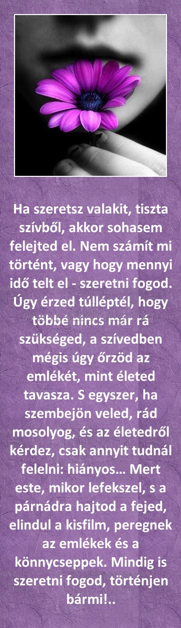 
 
Ha szeretsz valakit, tiszta szívből, akkor sohasem felejted el. Nem számít mi történt, vagy hogy mennyi idő telt el - szeretni fogod. Úgy érzed túlléptél, hogy többé nincs már rá szükséged, a szívedben mégis úgy őrzöd az emlékét, mint életed tavasza. S egyszer, ha szembejön veled, rád mosolyog, és az életedről kérdez, csak annyit tudnál felelni: hiányos… Mert este, mikor lefekszel, s a párnádra hajtod a fejed, elindul a kisfilm, peregnek az emlékek és a könnycseppek. Mindig is szeretni fogod, történjen bármi!..
