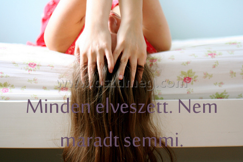 Minden elveszett. Nem maradt
 
Minden elveszett. Nem maradt semmi.