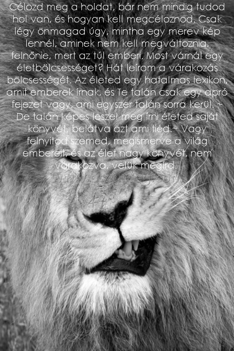 Célozd meg a holdat
 
Célozd meg a holdat, bár nem mindig tudod hol van, és hogyan kell megcéloznod. Csak légy önmagad úgy, mintha egy merev kép lennél, aminek nem kell megváltoznia, felnőnie, mert az túl emberi. Most várnál egy életbölcsességet? Hát leírom a várakozás bölcsességét. Az életed egy hatalmas lexikon, amit emberek írnak, és Te talán csak egy apró fejezet vagy, ami egyszer talán sorra kerül. ~ De talán képes leszel meg írni életed saját könyvét, belátva azt ami tiéd.~ Vagy felnyitod szemed, megismerve a világ embereit, és az élet nagy könyvét, nem várakozva, velük megírd. 