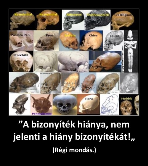 ”A bizonyíték hiánya, nem jelenti a hiány bizonyítékát!„
 
(Régi mondás.)