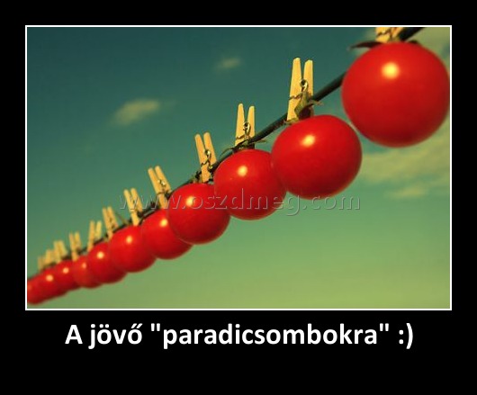 A jövő "paradicsombokra" :)
 
