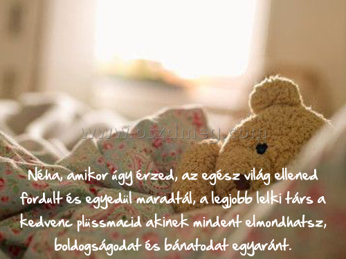 Néha
 
Néha, amikor úgy érzed, az egész világ ellened fordult és egyedül maradtál, a legjobb lelki társ a kedvenc plüssmacid akinek mindent elmondhatsz, boldogságodat és bánatodat egyaránt.