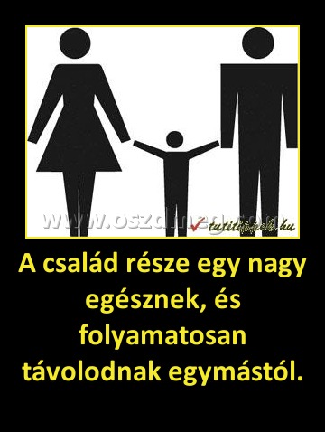 A család része egy nagy egésznek, és folyamatosan távolodnak egymástól.
 
