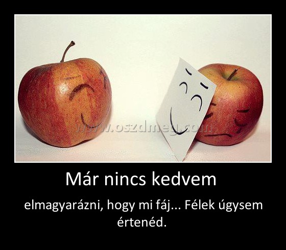 Már nincs kedvem 
 
elmagyarázni, hogy mi fáj... Félek úgysem értenéd. 