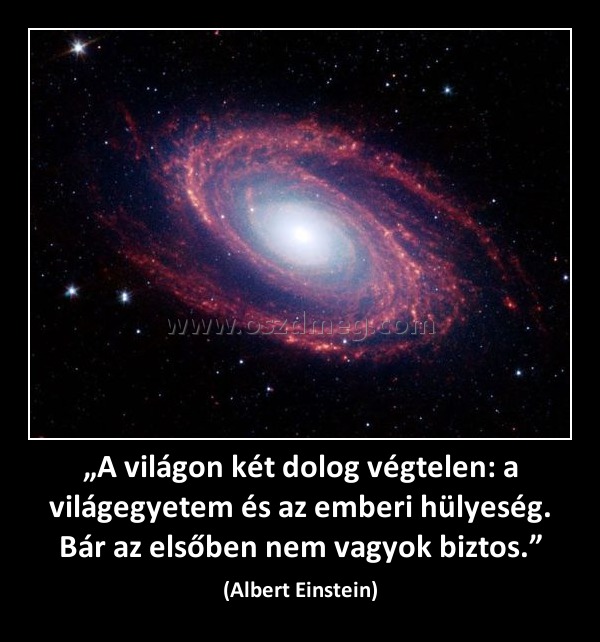 „A világon két dolog végtelen: a világegyetem és az emberi hülyeség. Bár az elsőben nem vagyok biztos.”
 
(Albert Einstein)