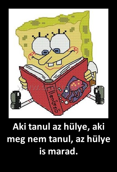 Aki tanul az hülye, aki meg nem tanul, az hülye is marad.
 
